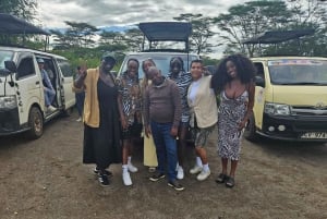 Nairobi: Centro delle Giraffe, Orfanotrofio degli Elefanti e Tour delle Perline