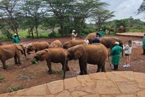 Nairobi: Centro delle Giraffe, Orfanotrofio degli Elefanti e Tour delle Perline