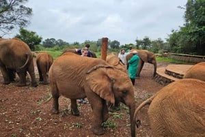Nairobi: Centro delle Giraffe, Orfanotrofio degli Elefanti e Tour delle Perline
