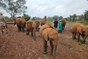 Nairobi: Centro delle Giraffe, Orfanotrofio degli Elefanti e Tour delle Perline
