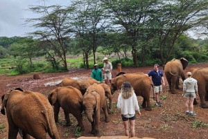 Nairobi:Giraffe Center,Karen Blixen &Elephant Orphanage Tour