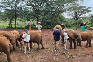 Nairobi:Giraffe Center,Karen Blixen &Elephant Orphanage Tour