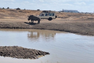 Nairobi: Sjiraffsenter, Karen Blixen og elefantbarnehjem