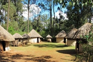 Nairobi: Giraffe Center, Beads Factory & Bomas of Kenya Tour
