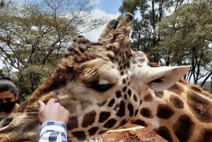 Nairobi: Giraffe Center, Beads Factory & Bomas of Kenya Tour