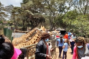 Nairobi: Giraffe Center, Beads Factory & Bomas of Kenya Tour