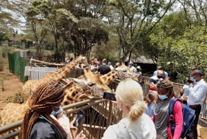 Nairobi: Giraffe Center, Beads Factory & Bomas of Kenya Tour
