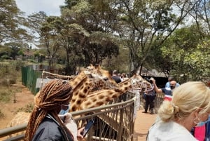 Nairobi: Giraffe Center, Beads Factory & Bomas of Kenya Tour