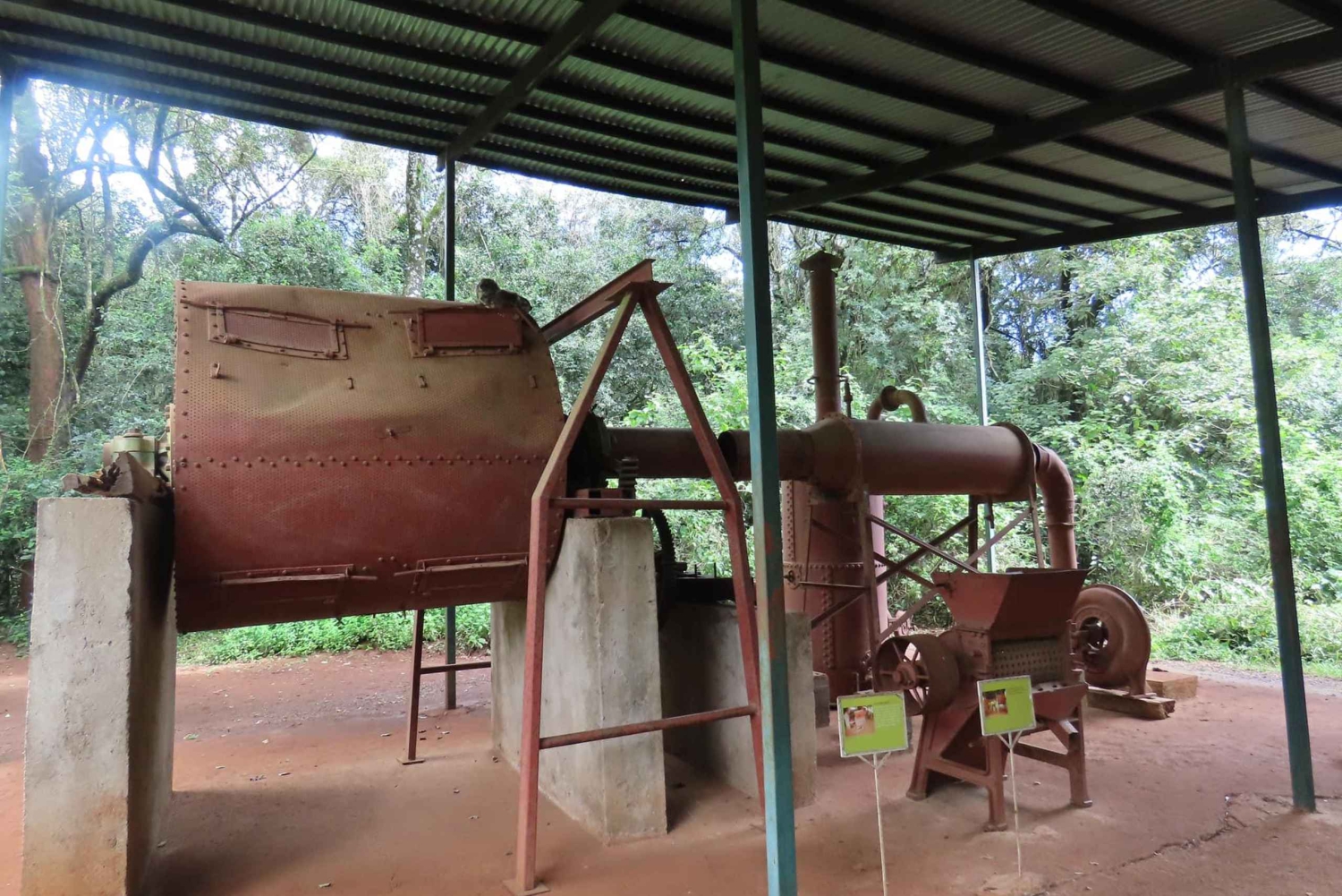 Экскурсия по центру жирафов в Найроби с Карен Бликсен и бисером Коби'