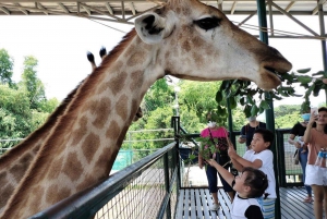 オプション:ゾウの孤児院とキリンセンター
