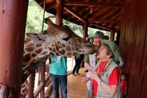 Nairobi: Girafcentret, Elefantbørnehjemmet og Karen Blixen