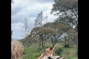 ナイロビ：キリンセンターへようこそ
