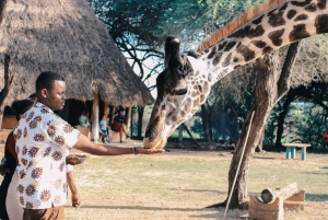 Nairobi: Giraffe Encounter, Café Breakfast & Bead Factory