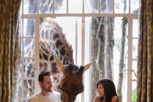 Nairobi: Giraffes, Art, and Hidden Cafés Tour with Lunch