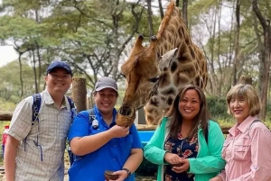 Nairobi: Giraffes Centre,Karen Blixen Museum Tour.