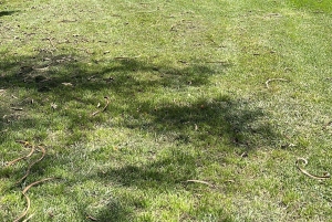 Nairobi: Golfupplevelse med en lokal golfare