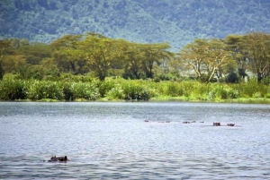 Nairobi:Group Hell's Gate National Park & Lake Naivasha Tour
