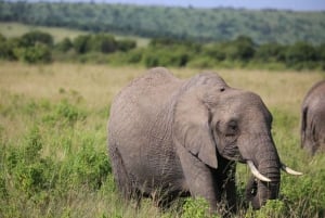 Nairobi:Group Hell's Gate National Park & Lake Naivasha Tour