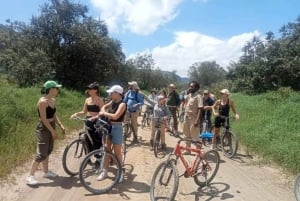 Nairobi: Excursão em grupo ao Parque Nacional Hell's Gate e ao Lago Naivasha