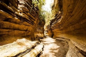 Nairobi: Excursão em grupo ao Parque Nacional Hell's Gate e ao Lago Naivasha