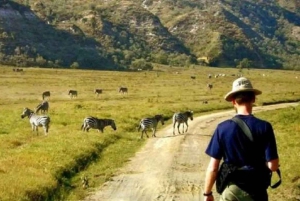 Nairobi: Excursão em grupo ao Parque Nacional Hell's Gate e ao Lago Naivasha
