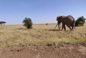Nairobi: Amboseli National Park Group Day Tour