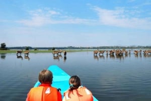 Nairobi: Group Joining Lake Nakuru & Lake Naivasha Day Trip