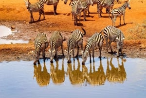 Nairobi:Group Joining Overnight Safari to Amboseli Park