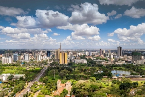 Nairobi: Guided City Tour with Nairobi National Museum Entry