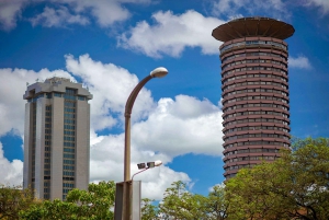 Nairobi: Guidet byrundtur med adgang til Nairobis nationalmuseum