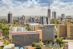 Nairobi: Stadsrondleiding met gids en toegang tot het Nationaal Museum van Nairobi