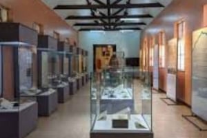 Nairobi: Guidad stadsrundtur med inträde till Nairobi National Museum