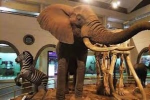 Nairobi: Guidad stadsrundtur med inträde till Nairobi National Museum
