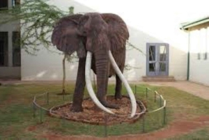 Nairobi: Guidad stadsrundtur med inträde till Nairobi National Museum