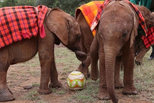 Nairobi: Guided Tour of Giraffe Center & Elephant Orphanage