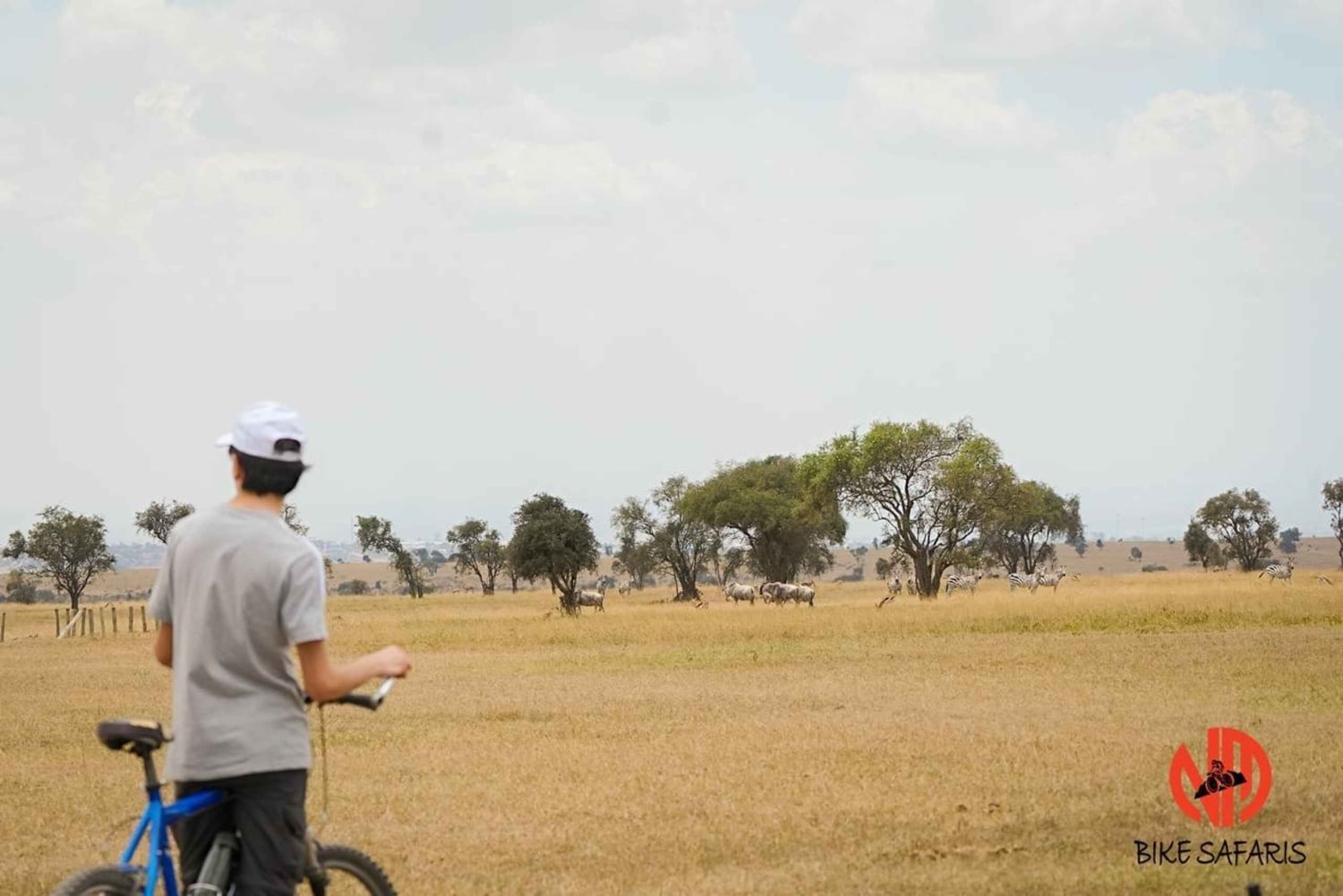 Nairobi: Guided Wildlife Cycling Safari with Transfer & meal