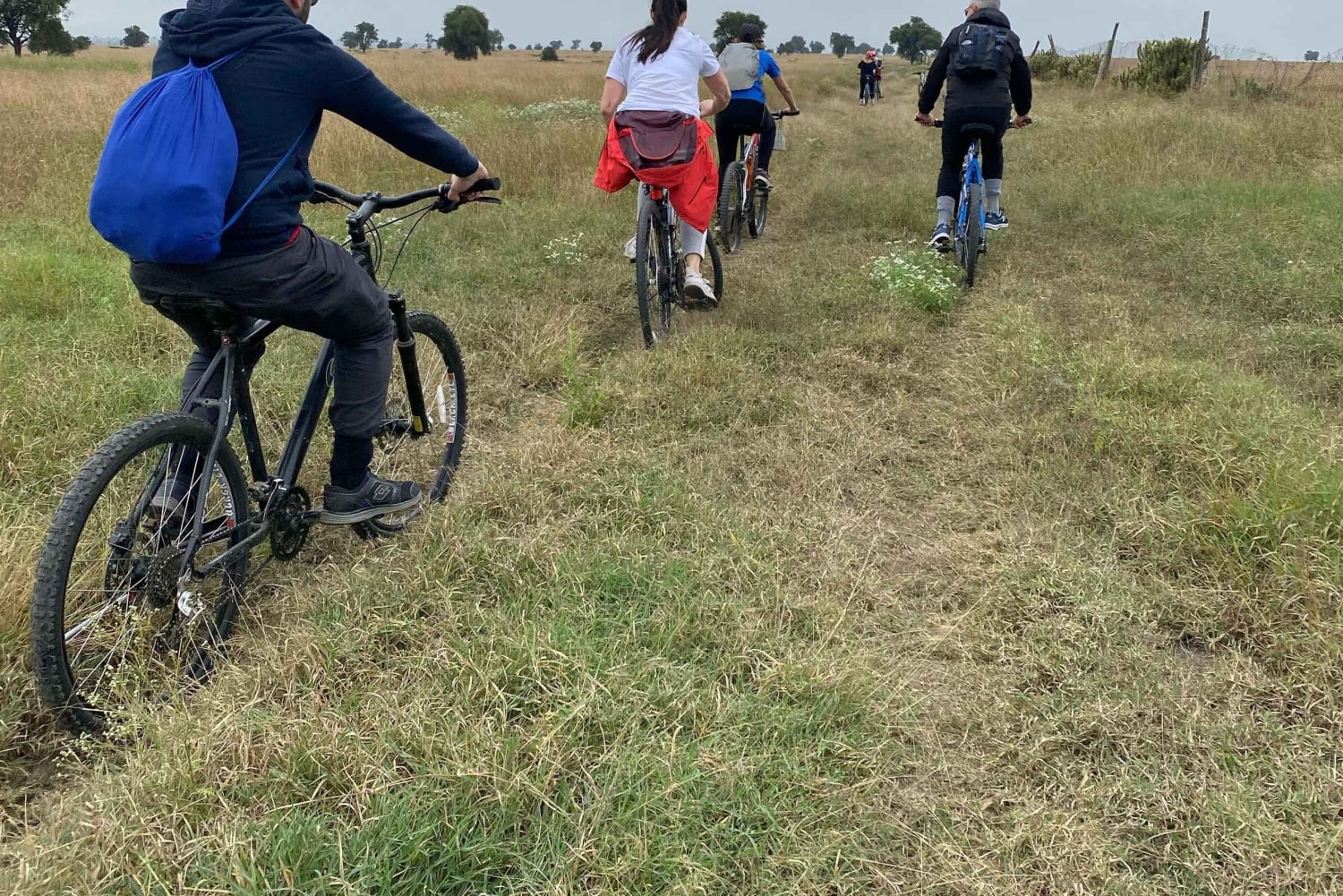 Nairobi: Guided Wildlife Cycling Safari with Transfer & meal