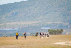 Nairobi: Opastettu villieläinsafari pyöräilyllä, kuljetus ja ateria