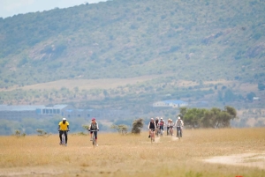 Nairobi: Guided Wildlife Cycling Safari with Transfer & meal