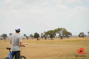 Nairobi: Guided Wildlife Cycling Safari with Transfer & meal