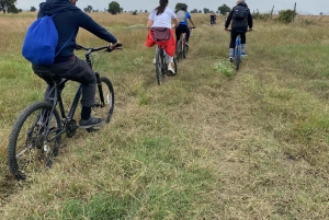 Nairobi: Guided Wildlife Cycling Safari with Transfer & meal