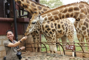 Nairobi: Half-Day Baby Elephant and Giraffe Experience