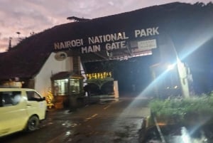 Nairobi: Half-Day National Park Guided Tour with Pickup