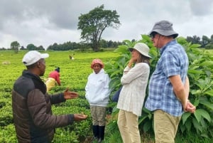 From Nairobi: Riara tea farm tour with lunch and tea tasting