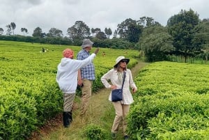 From Nairobi: Riara tea farm tour with lunch and tea tasting