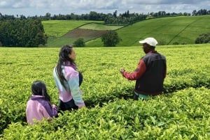 From Nairobi: Riara tea farm tour with lunch and tea tasting