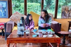 From Nairobi: Riara tea farm tour with lunch and tea tasting