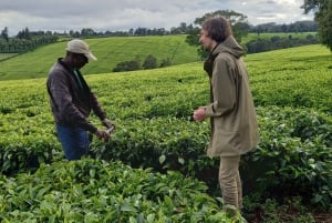 From Nairobi: Riara tea farm tour with lunch and tea tasting