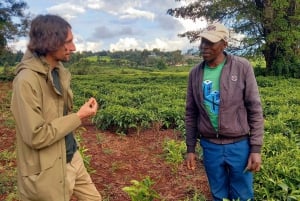 From Nairobi: Riara tea farm tour with lunch and tea tasting