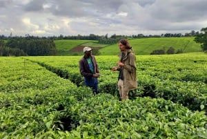 From Nairobi: Riara tea farm tour with lunch and tea tasting